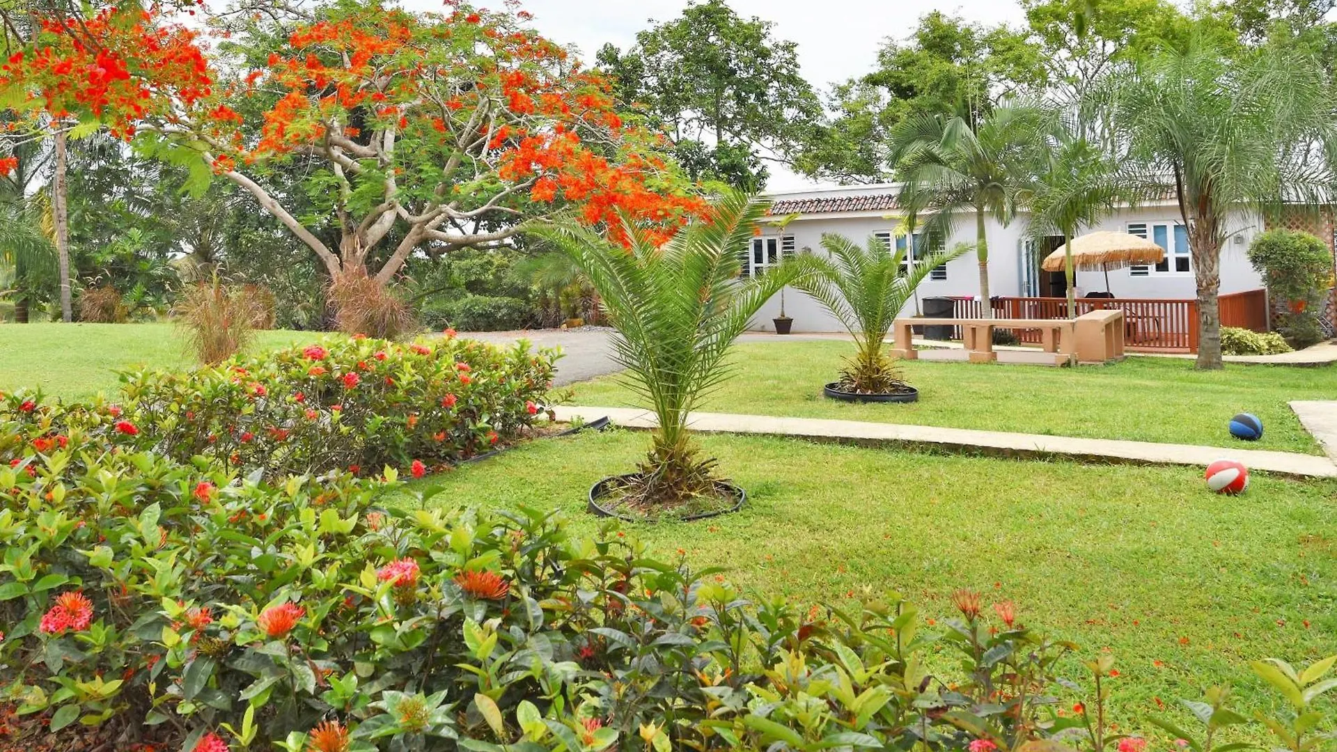 Luxury Villa Bonita Sleep 50 + إيزابيلا بورتوريكو