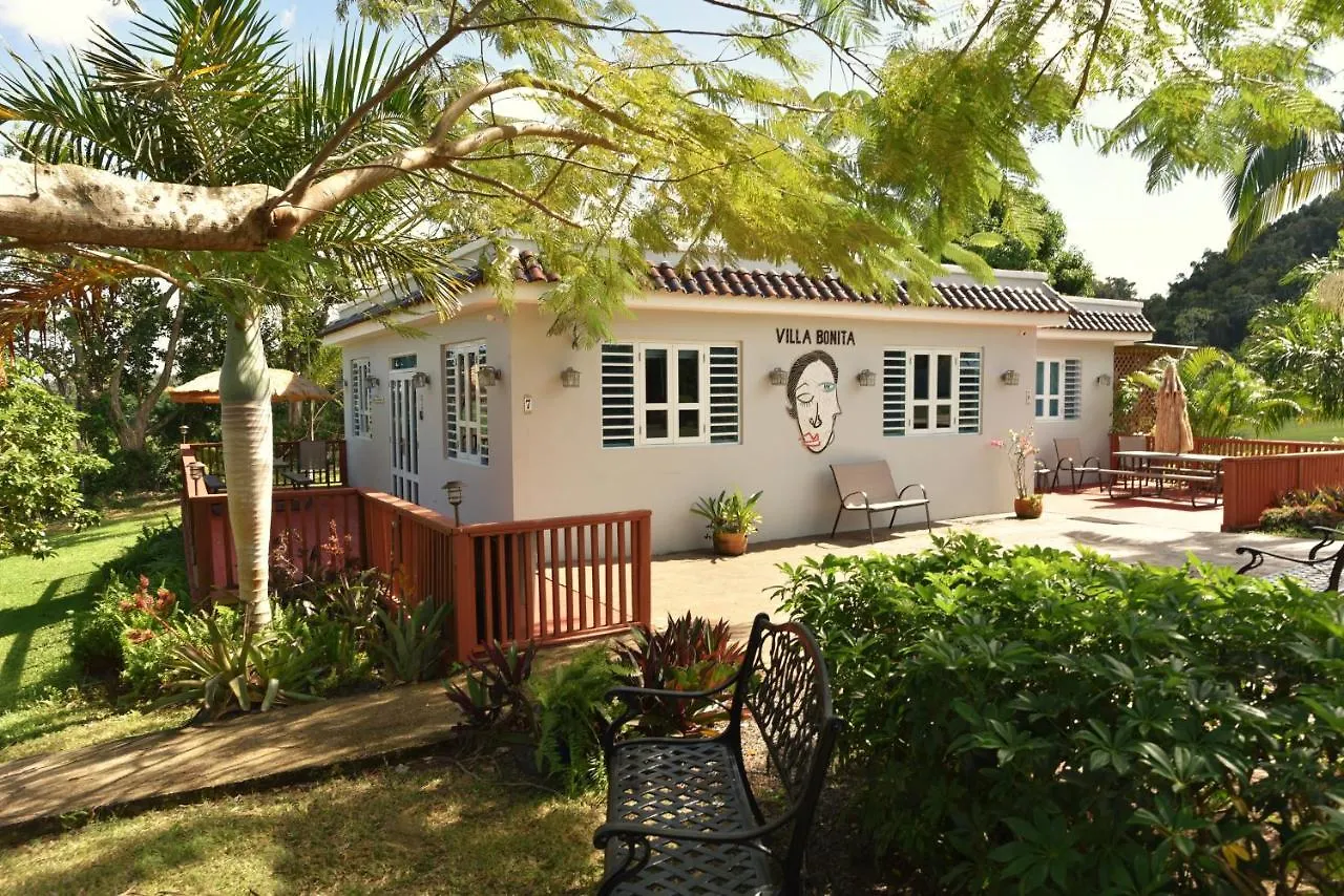 Luxury Villa Bonita Sleep 50 + 이사벨라